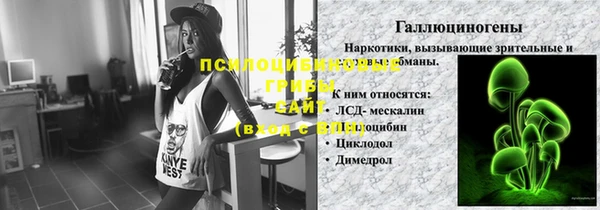 стаф Володарск