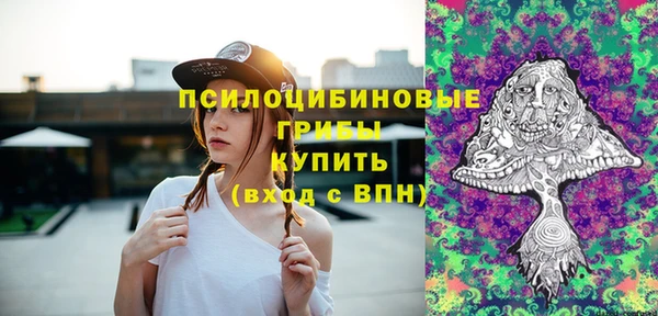 стаф Володарск