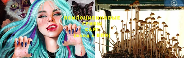 стаф Володарск