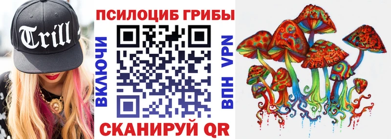 Псилоцибиновые грибы мицелий  Купить закладки  Десногорск 