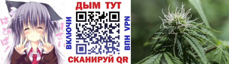Марихуана OG Kush  Купить где  Десногорск 